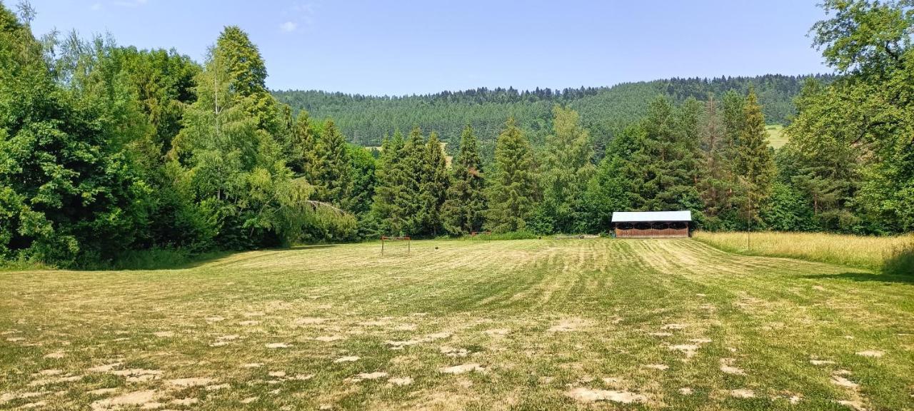 Ferienwohnung Jasionka 2 Ustrzyki Dolne Exterior foto